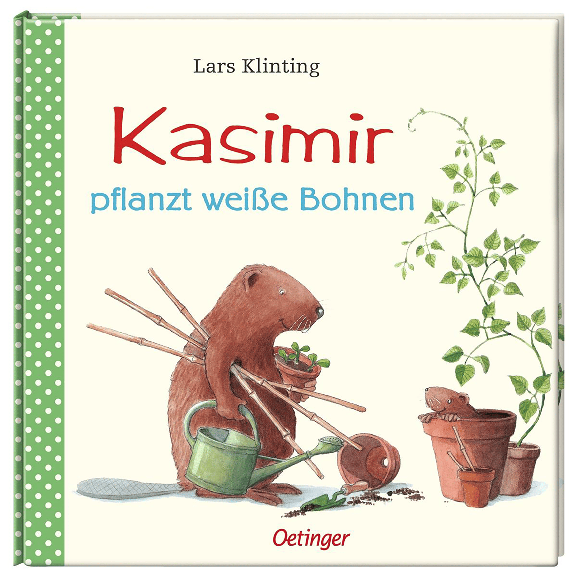 Kasimir pflanzt weiße Bohnen OETINGER Grün 2000583390008 1