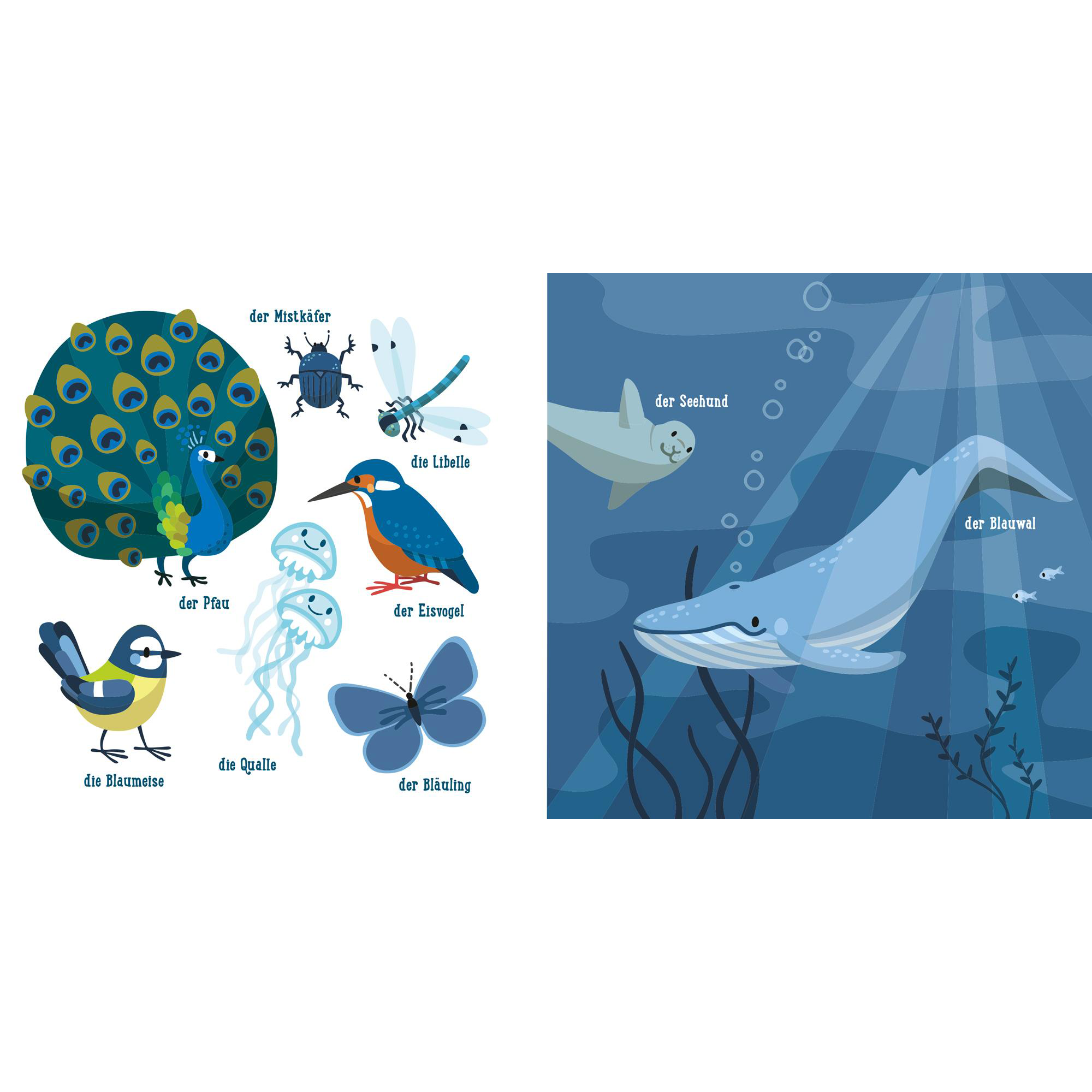 Baby Pixi Buggybuch (unkaputtbar) 135: Blauwalblau und andere tolle Farben CARLSEN Blau 2000584911806 2